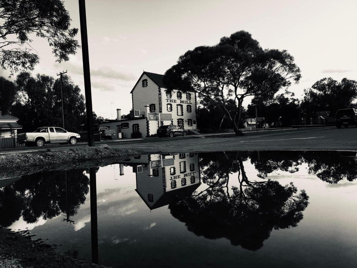 Flinders Ranges Motel - The Mill Quorn Buitenkant foto